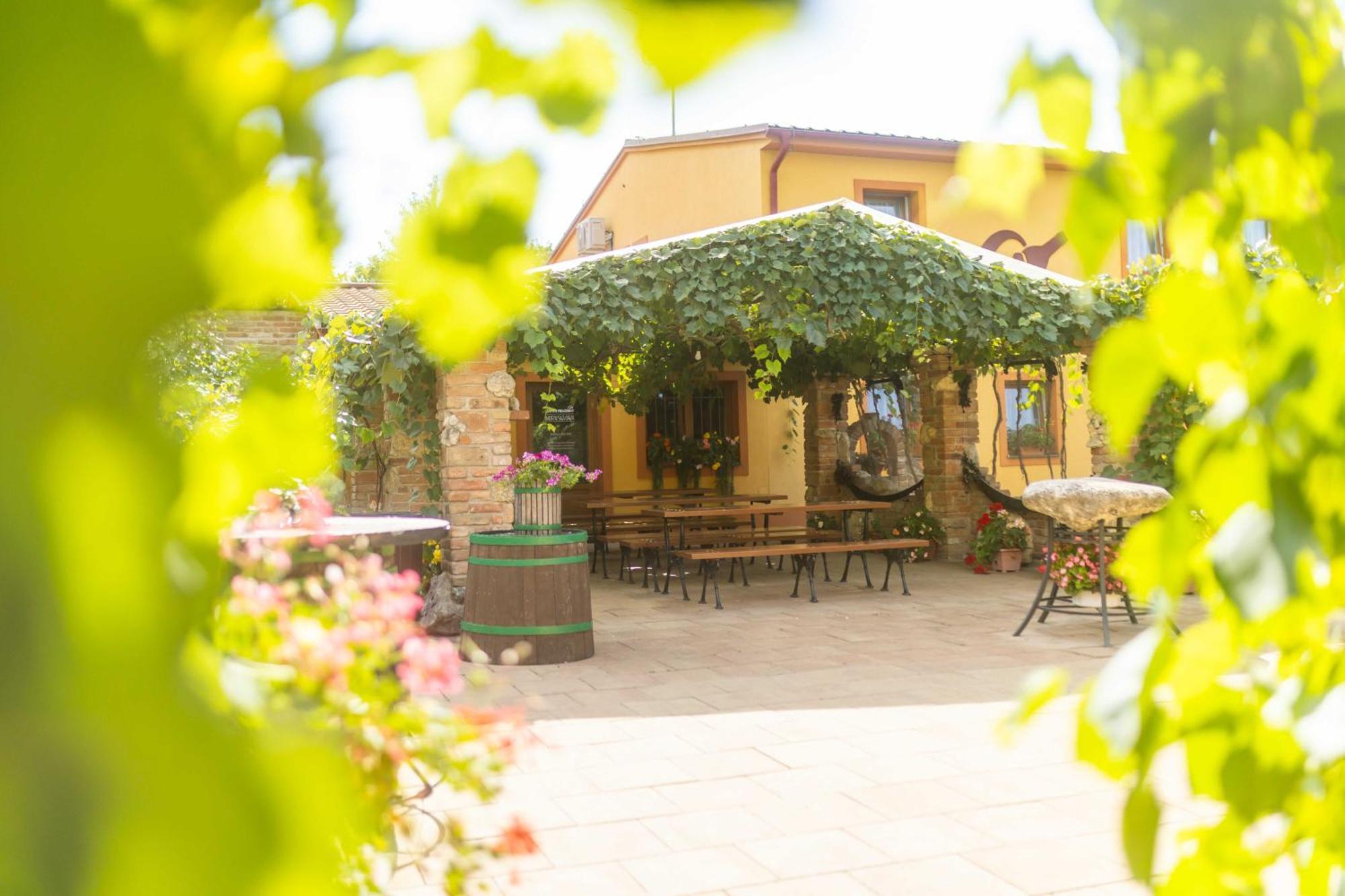 Penzion Moravska Oaza Valtice Exterior foto