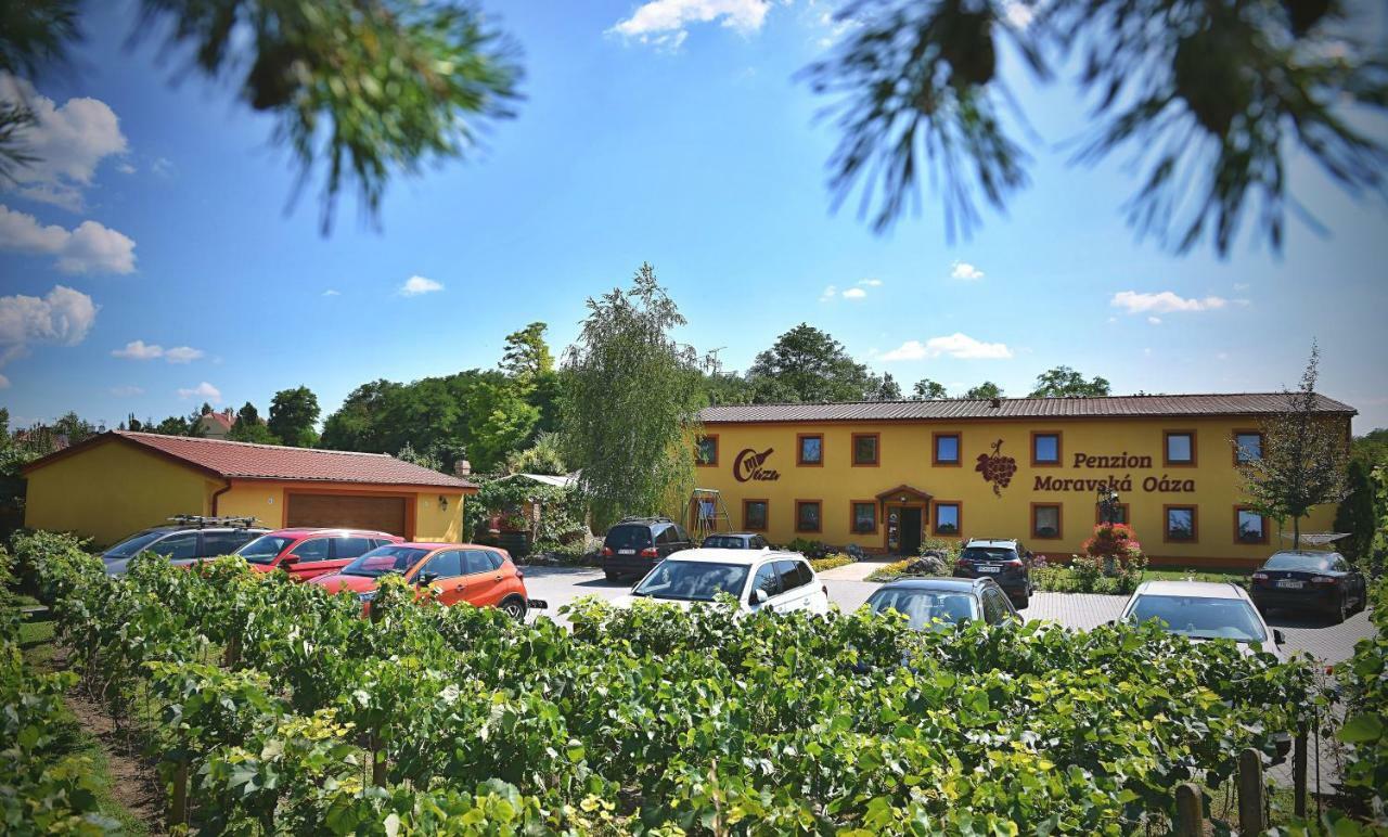 Penzion Moravska Oaza Valtice Exterior foto